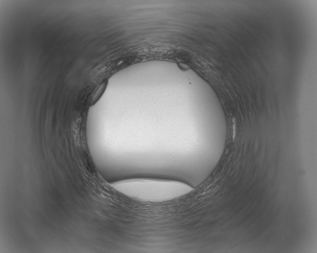 X0000056031059200508190946