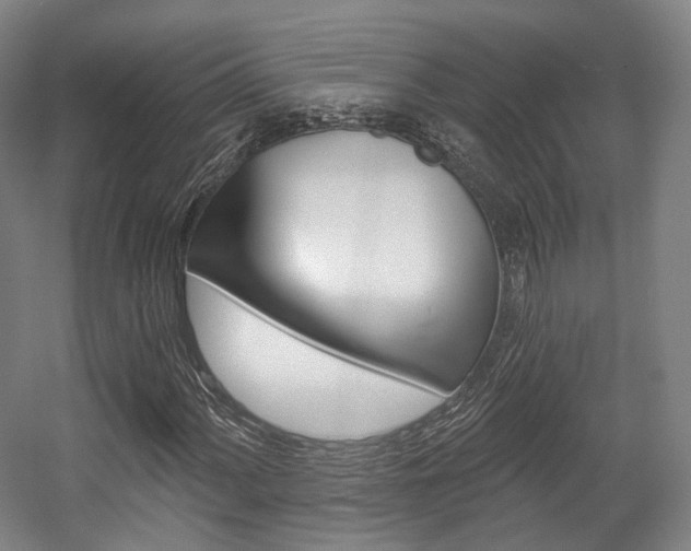 X0000056031060200508190946