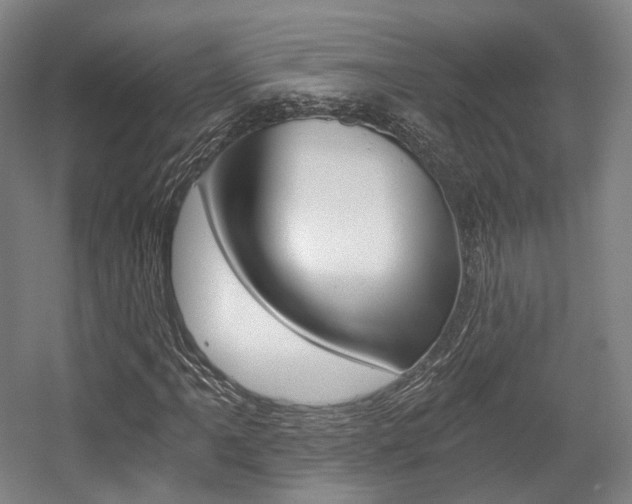X0000056031061200508190946