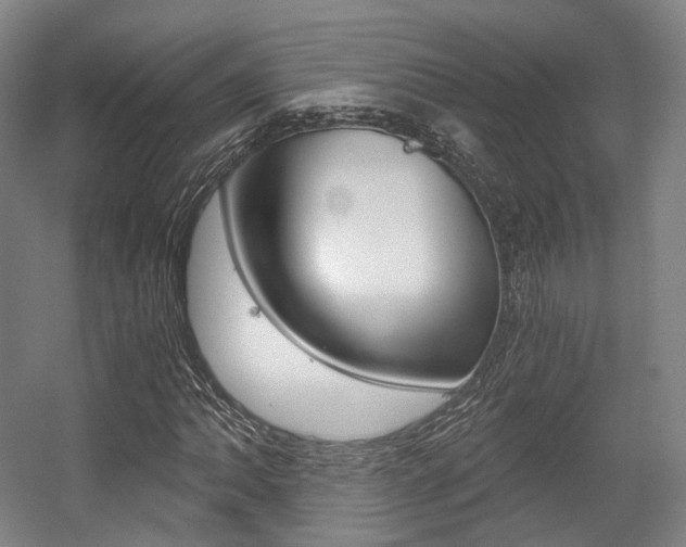 X0000056031062200508190946