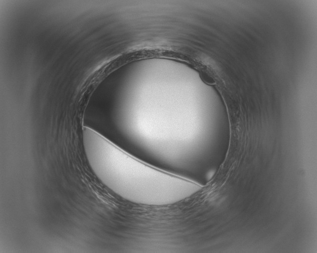 X0000056031064200508190946