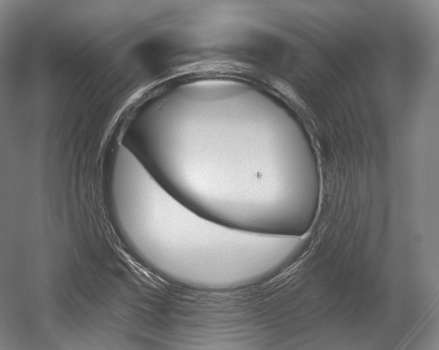 X0000056031067200508190946