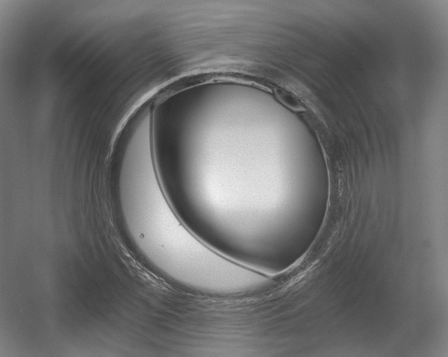 X0000056031069200508190946