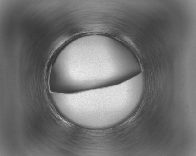 X0000056031071200508190946