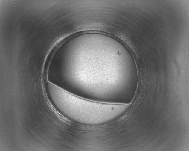 X0000056031072200508190946