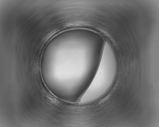 X0000056031073200508190946
