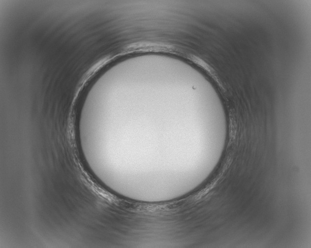 X0000056031074200508190946