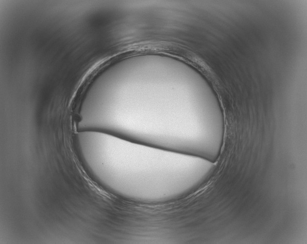 X0000056031075200508190946