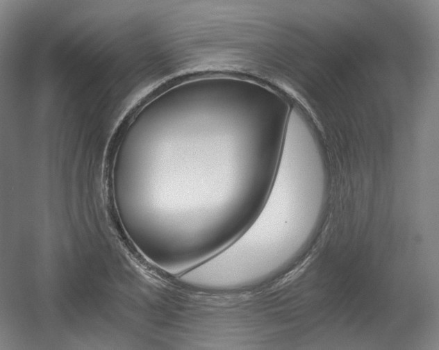 X0000056031077200508190946