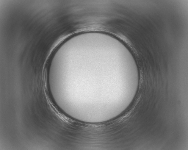 X0000056031078200508190946