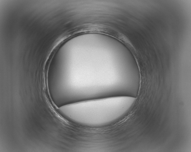 X0000056031079200508190946
