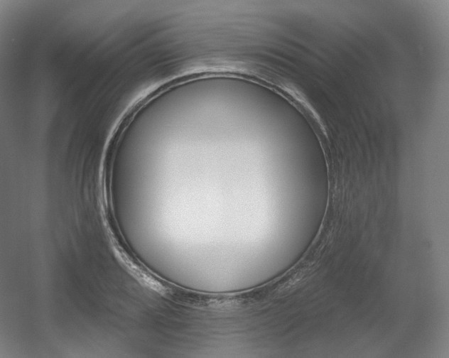 X0000056031080200508190946