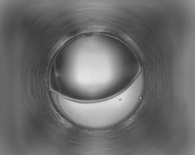 X0000056031081200508190946