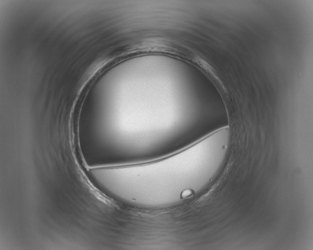 X0000056031082200508190946