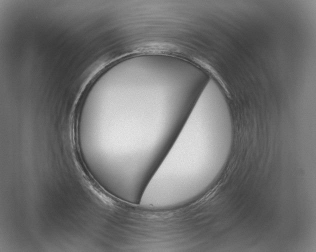 X0000056031083200508190946