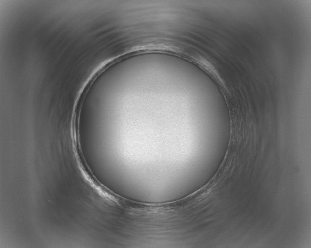 X0000056031084200508190946