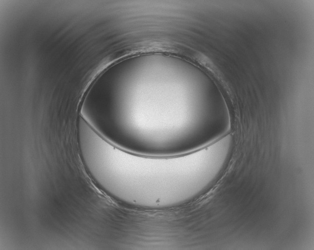 X0000056031089200508190946