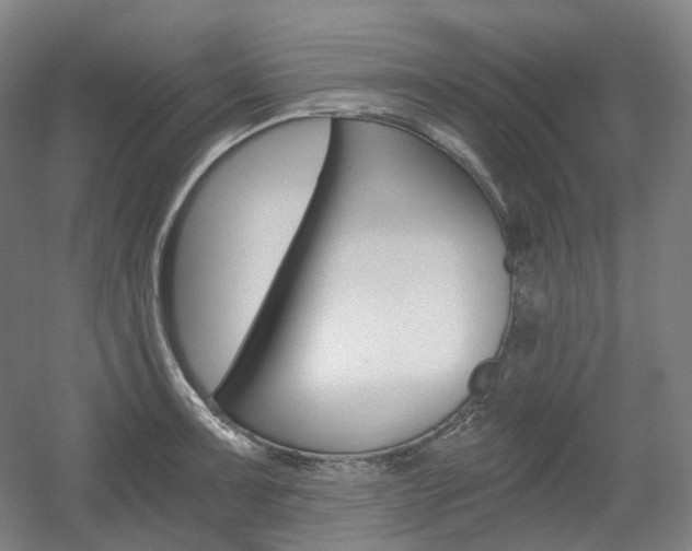 X0000056031091200508190946