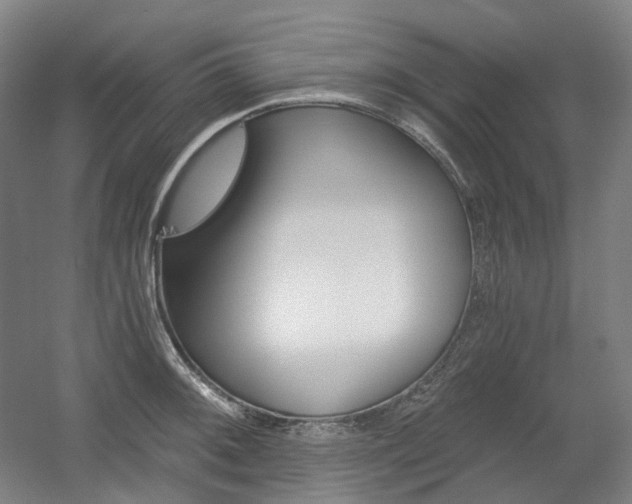 X0000056031092200508190946