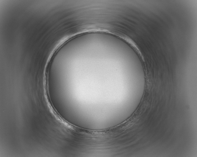 X0000056031096200508190946