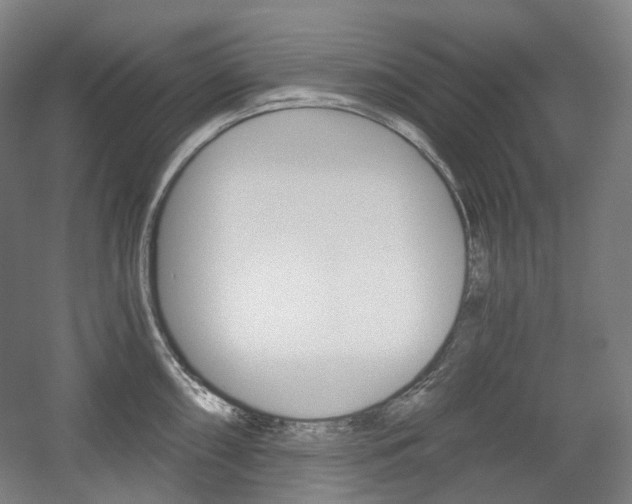 X0000056031098200508190946