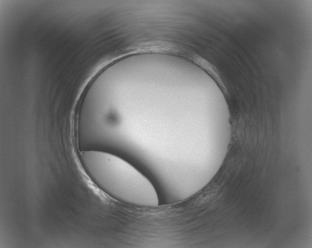 X0000056031099200508190946