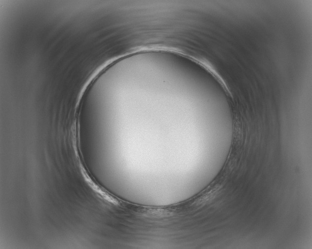 X0000056031100200508190946