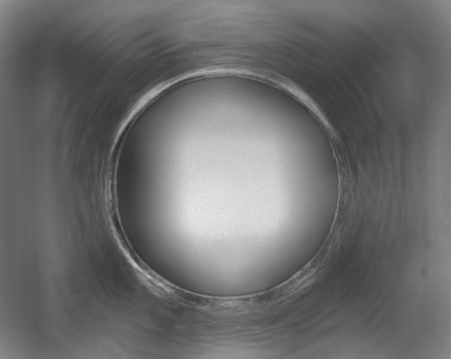 X0000056031101200508190946