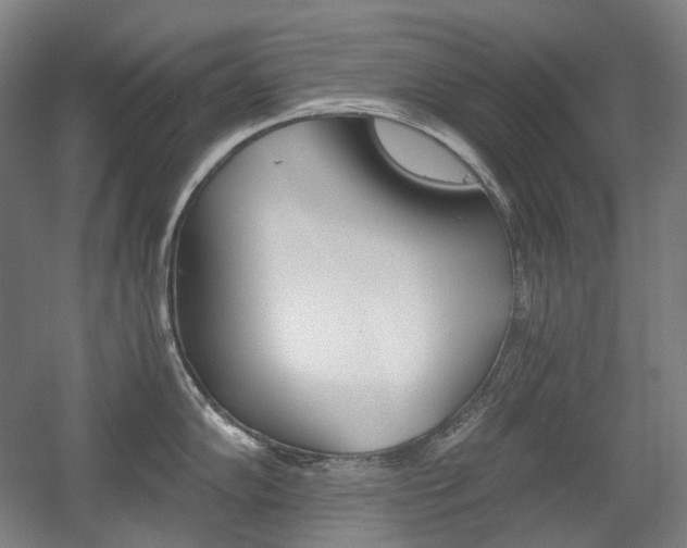X0000056031102200508190946