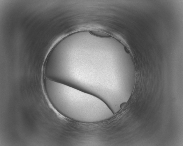 X0000056031103200508190945