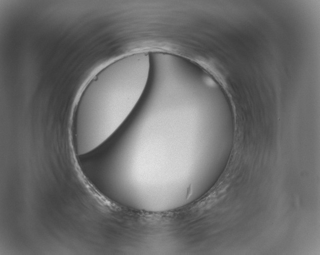 X0000056031104200508190945
