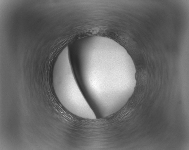 X0000056031105200508190945