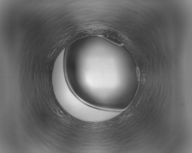 X0000056031108200508190945