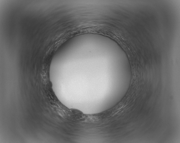 X0000056031109200508190945