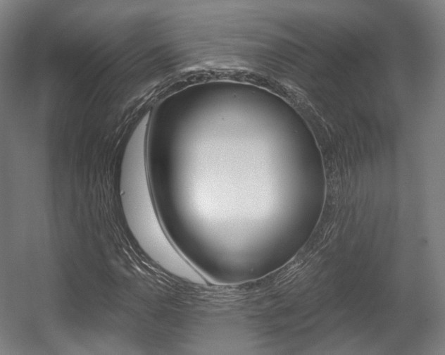 X0000056031110200508190945