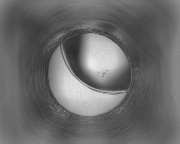X0000056031111200508190945