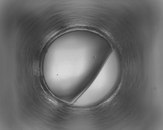 X0000056031113200508190945