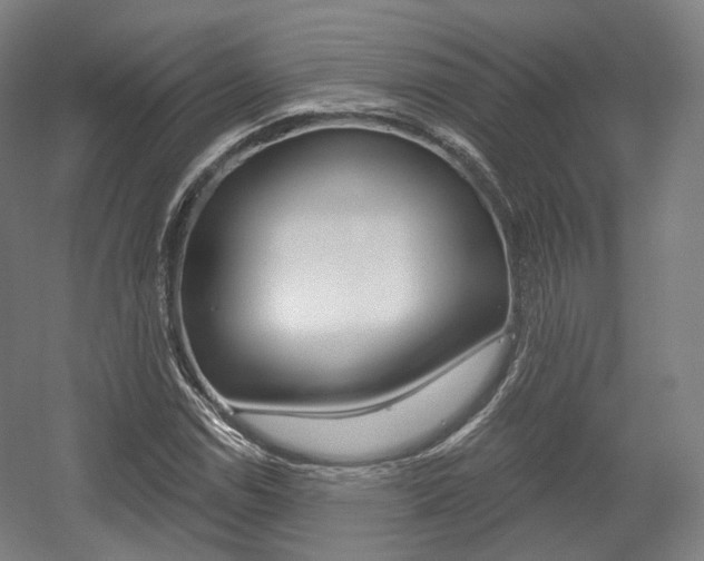 X0000056031114200508190945
