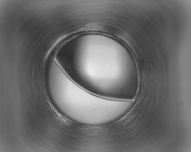X0000056031115200508190945
