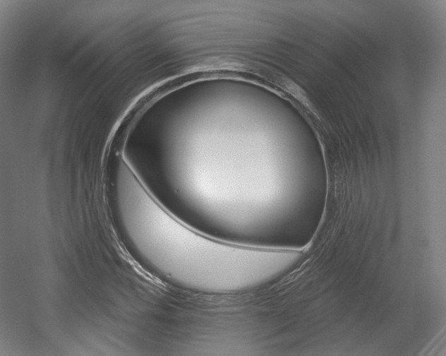 X0000056031116200508190945