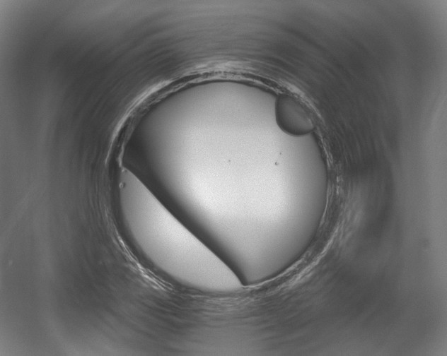 X0000056031117200508190945