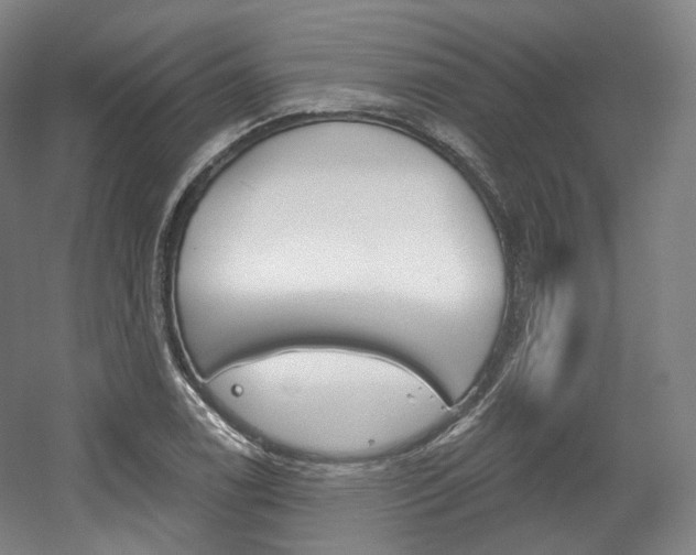 X0000056031122200508190945