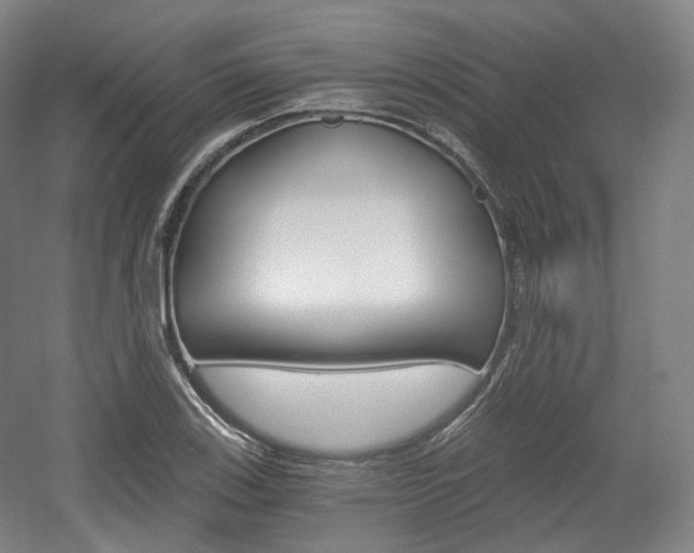 X0000056031123200508190945