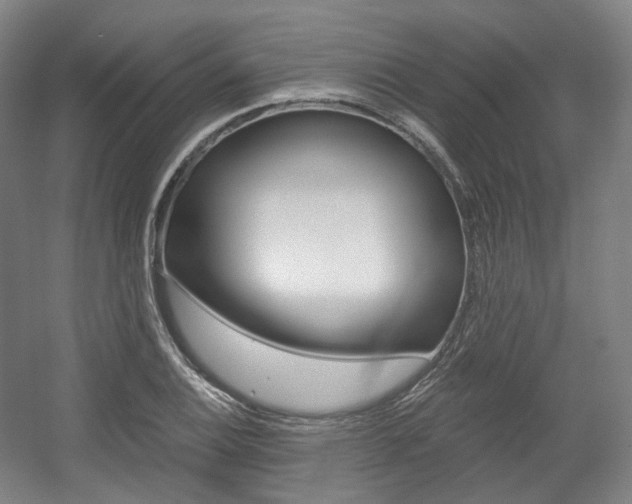 X0000056031124200508190945