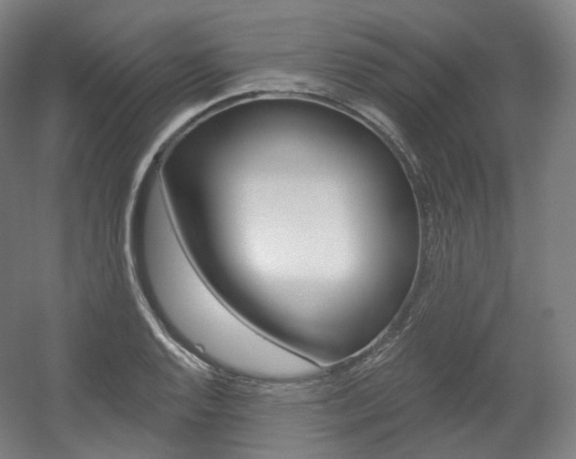 X0000056031128200508190945
