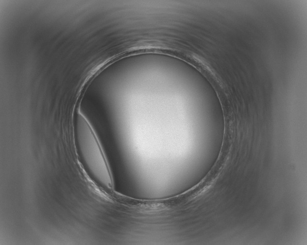 X0000056031129200508190945
