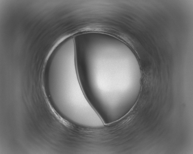 X0000056031131200508190945