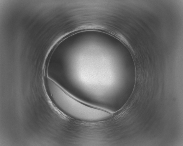 X0000056031132200508190945