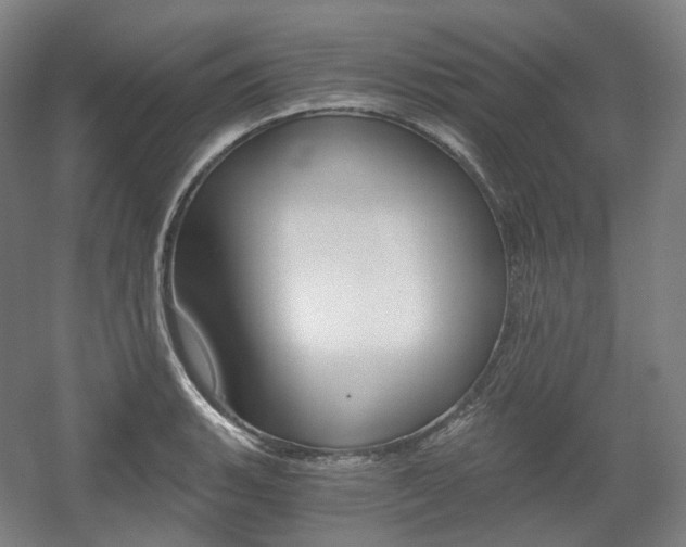 X0000056031135200508190945