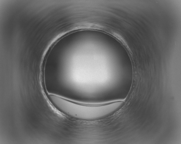 X0000056031136200508190945